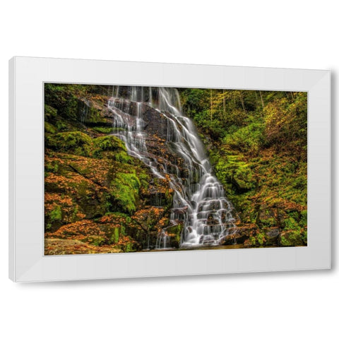 North Carolina, Brevard Waterfall in DuPont SF White Modern Wood Framed Art Print by OBrien, Jay