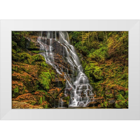 North Carolina, Brevard Waterfall in DuPont SF White Modern Wood Framed Art Print by OBrien, Jay