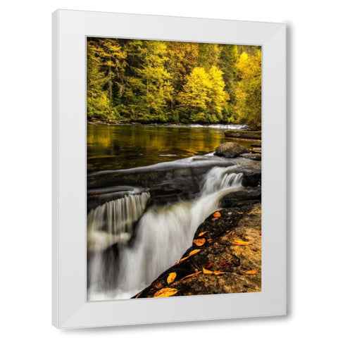 North Carolina, Brevard Landscape in Pisgah NF White Modern Wood Framed Art Print by OBrien, Jay