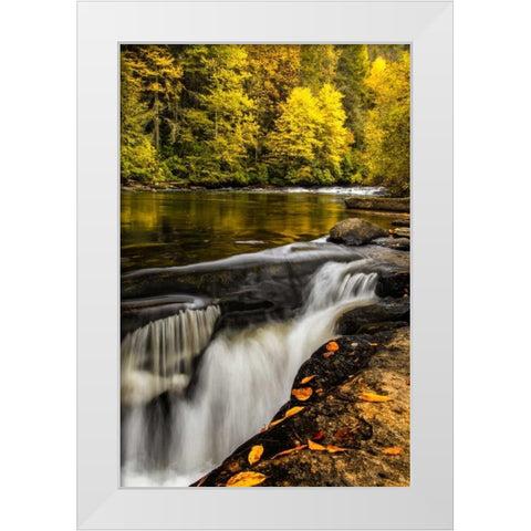 North Carolina, Brevard Landscape in Pisgah NF White Modern Wood Framed Art Print by OBrien, Jay