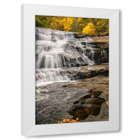 North Carolina, Brevard Waterfall in DuPont SF White Modern Wood Framed Art Print by OBrien, Jay