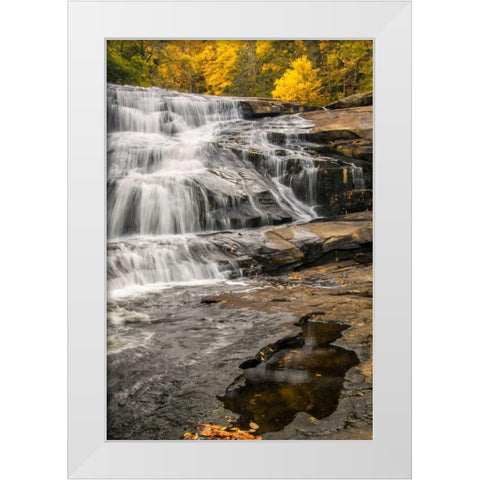 North Carolina, Brevard Waterfall in DuPont SF White Modern Wood Framed Art Print by OBrien, Jay