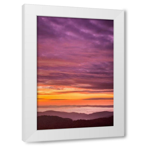 North Carolina, Brevard Landscape in Pisgah NF White Modern Wood Framed Art Print by OBrien, Jay