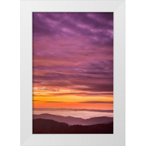North Carolina, Brevard Landscape in Pisgah NF White Modern Wood Framed Art Print by OBrien, Jay