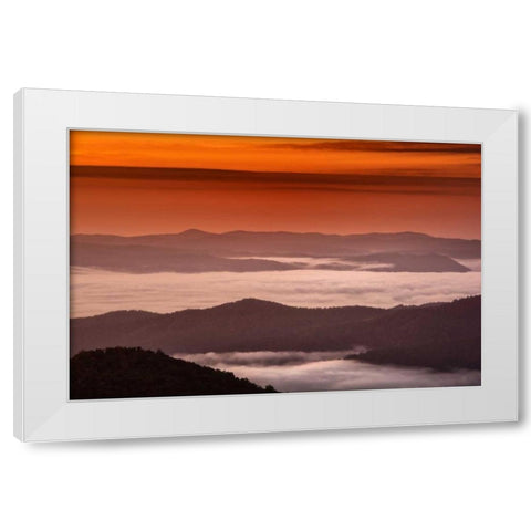 North Carolina, Brevard Landscape in Pisgah NF White Modern Wood Framed Art Print by OBrien, Jay