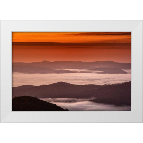 North Carolina, Brevard Landscape in Pisgah NF White Modern Wood Framed Art Print by OBrien, Jay