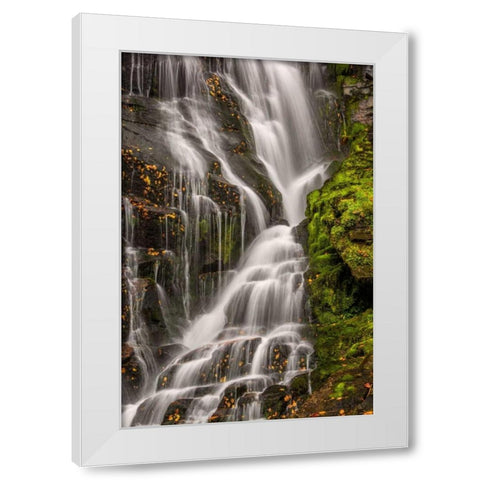 North Carolina, Brevard Waterfall in DuPont SF White Modern Wood Framed Art Print by OBrien, Jay