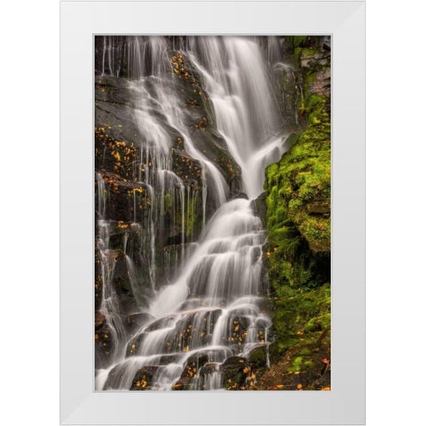 North Carolina, Brevard Waterfall in DuPont SF White Modern Wood Framed Art Print by OBrien, Jay