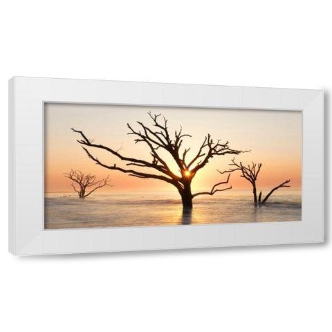 North Carolina Sunrise at Botany Bay Preserve White Modern Wood Framed Art Print by Bush, Marie