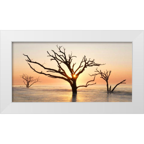 North Carolina Sunrise at Botany Bay Preserve White Modern Wood Framed Art Print by Bush, Marie