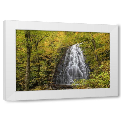 North Carolina, Crabtree Falls in autumn White Modern Wood Framed Art Print by Paulson, Don