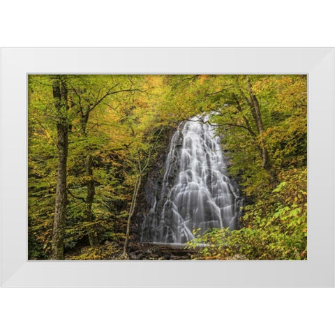 North Carolina, Crabtree Falls in autumn White Modern Wood Framed Art Print by Paulson, Don