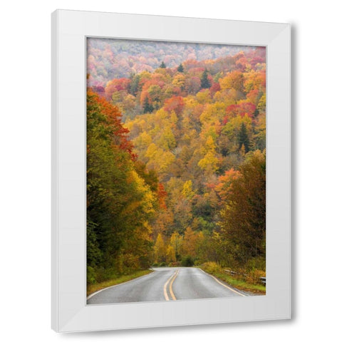North Carolina Road through autumn forest White Modern Wood Framed Art Print by Paulson, Don
