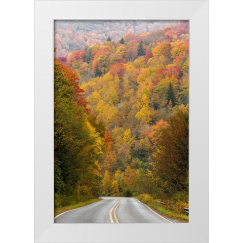 North Carolina Road through autumn forest White Modern Wood Framed Art Print by Paulson, Don
