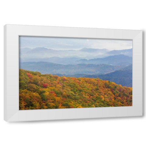 North Carolina, Blue Ridge Parkway Overlook White Modern Wood Framed Art Print by Paulson, Don