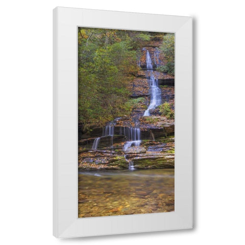 North Carolina, Great Smoky Mts Tom Branch Falls White Modern Wood Framed Art Print by Paulson, Don