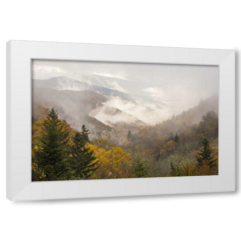 North Carolina, Great Smoky Mts Autumn landscape White Modern Wood Framed Art Print by Paulson, Don