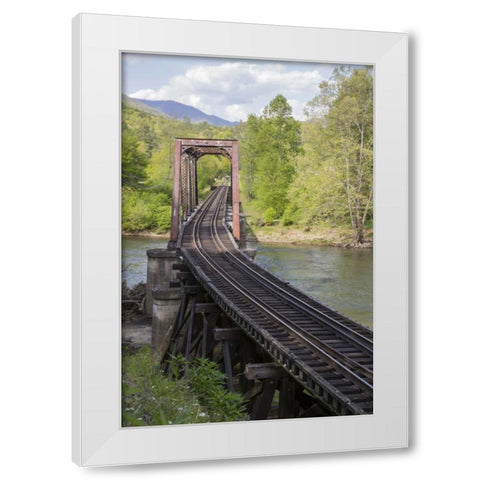 North Carolina Abandoned railroad trestle White Modern Wood Framed Art Print by Grall, Don