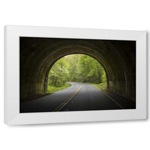 North Carolina Tunnel on the Blue Ridge Parkway White Modern Wood Framed Art Print by Grall, Don
