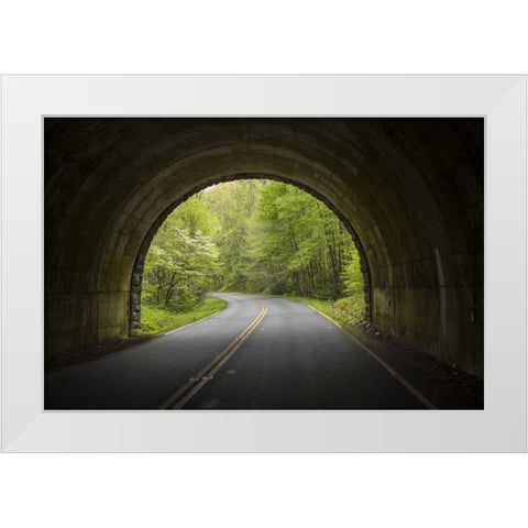 North Carolina Tunnel on the Blue Ridge Parkway White Modern Wood Framed Art Print by Grall, Don