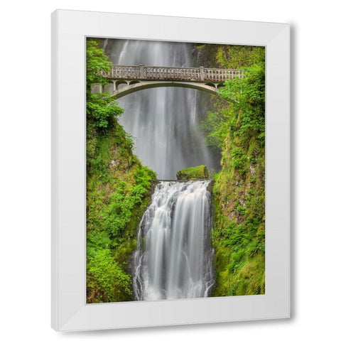 Multnomah Falls-Columbia River Gorge-Oregon White Modern Wood Framed Art Print by Jones, Adam