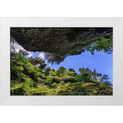 Upward view from bottom of Oneonta Gorge-Columbia River Gorge National Scenic Area-Oregon White Modern Wood Framed Art Print by Jones, Adam