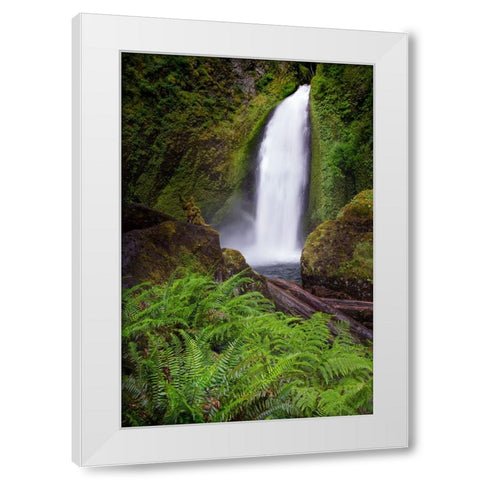 Wahclella Falls along Tanner Creek-Columbia River Gorge-Oregon White Modern Wood Framed Art Print by Jones, Adam