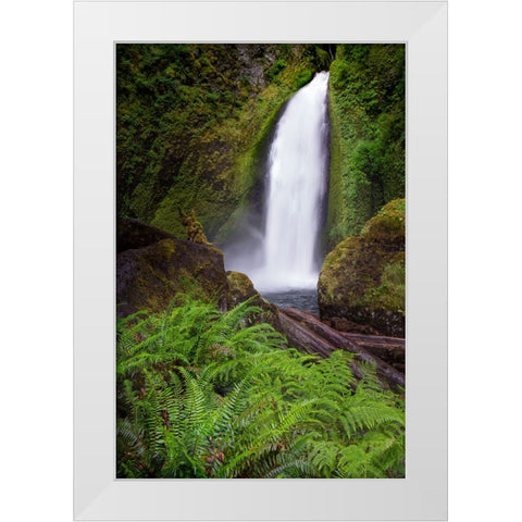 Wahclella Falls along Tanner Creek-Columbia River Gorge-Oregon White Modern Wood Framed Art Print by Jones, Adam