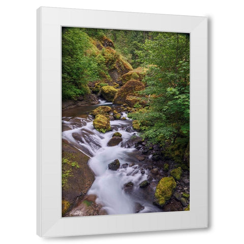 Tanner Creek-Columbia River Gorge-Oregon White Modern Wood Framed Art Print by Jones, Adam