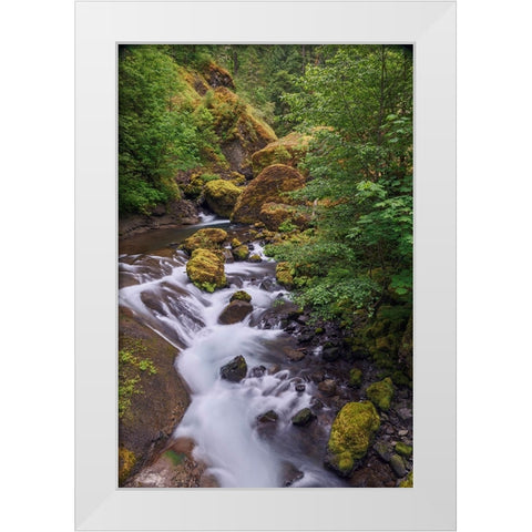 Tanner Creek-Columbia River Gorge-Oregon White Modern Wood Framed Art Print by Jones, Adam