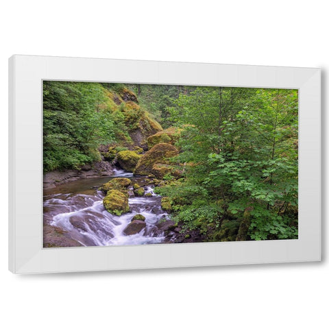 Tanner Creek-Columbia River Gorge-Oregon White Modern Wood Framed Art Print by Jones, Adam