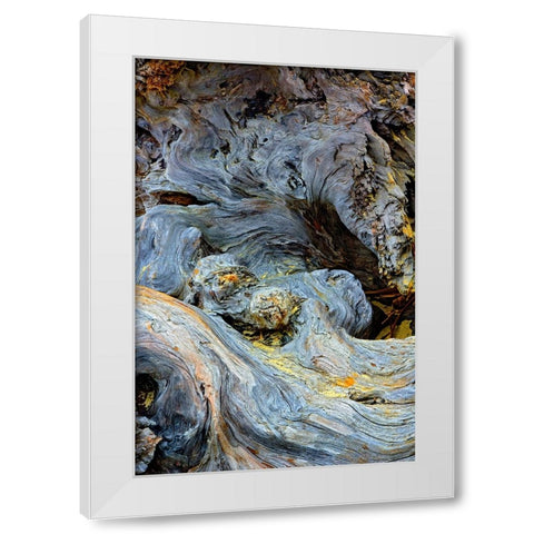 Abstract pattern in driftwood-Bandon Beach-Oregon White Modern Wood Framed Art Print by Jones, Adam
