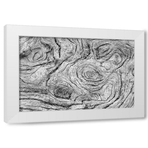 Geometric pattern in eroded driftwood-Bandon Beach-Oregon White Modern Wood Framed Art Print by Jones, Adam