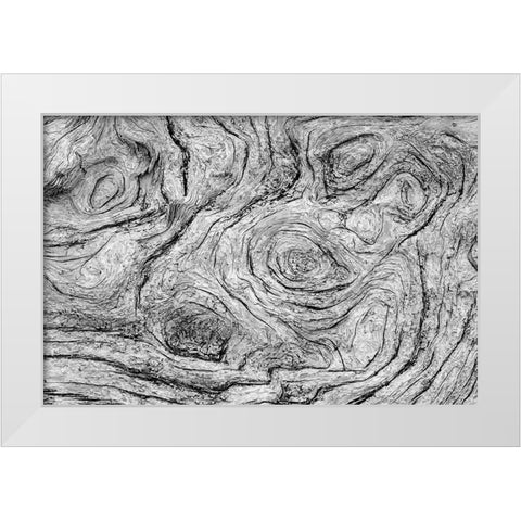 Geometric pattern in eroded driftwood-Bandon Beach-Oregon White Modern Wood Framed Art Print by Jones, Adam