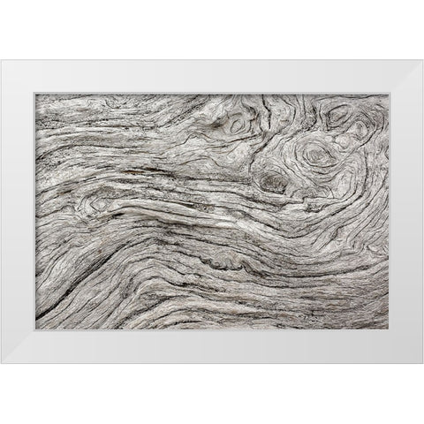 Geometric pattern in eroded driftwood-Bandon Beach-Oregon White Modern Wood Framed Art Print by Jones, Adam