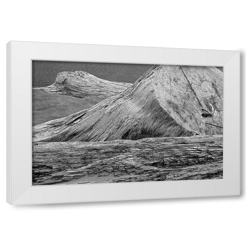 Eroded driftwood on beach-Bandon Beach-Oregon White Modern Wood Framed Art Print by Jones, Adam