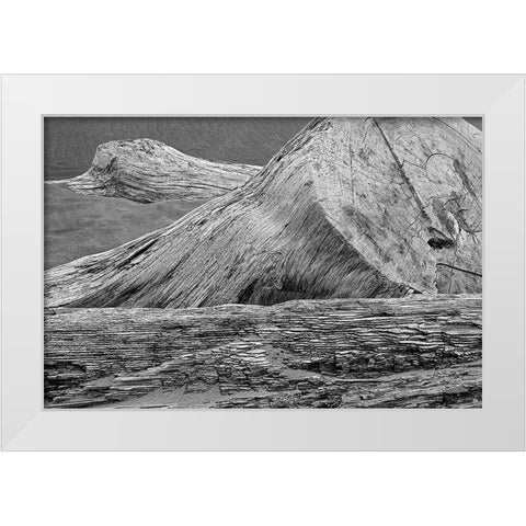 Eroded driftwood on beach-Bandon Beach-Oregon White Modern Wood Framed Art Print by Jones, Adam