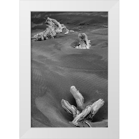 Eroded driftwood on beach-Bandon Beach-Oregon White Modern Wood Framed Art Print by Jones, Adam