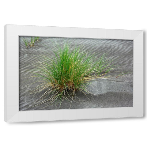 Grass pattern-Bandon-Oregon White Modern Wood Framed Art Print by Jones, Adam