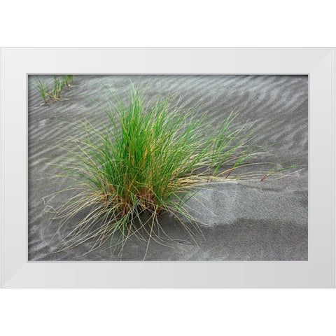 Grass pattern-Bandon-Oregon White Modern Wood Framed Art Print by Jones, Adam
