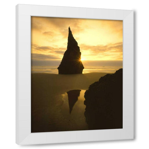 OR, Bandon Beach, Sunset silhouettes seabird White Modern Wood Framed Art Print by Terrill, Steve