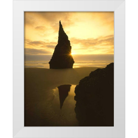 OR, Bandon Beach, Sunset silhouettes seabird White Modern Wood Framed Art Print by Terrill, Steve