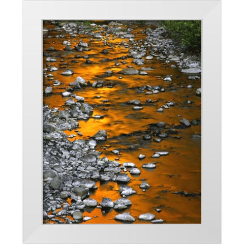 OR, Columbia Gorge, Multnomah Creek White Modern Wood Framed Art Print by Terrill, Steve