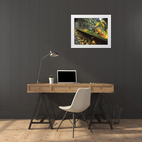 OR, Columbia Gorge, Columbia River Highway White Modern Wood Framed Art Print by Terrill, Steve
