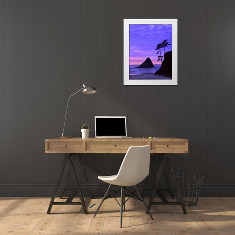 OR, Devils Elbow SP, Sunset over rock formations White Modern Wood Framed Art Print by Terrill, Steve