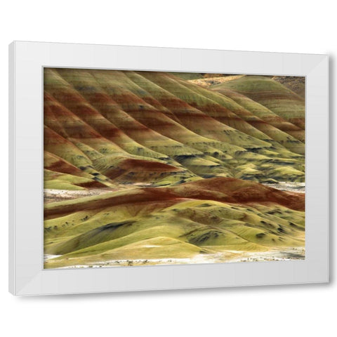 OR, Volcanic ash hills of the Painted Hills Unit White Modern Wood Framed Art Print by Terrill, Steve