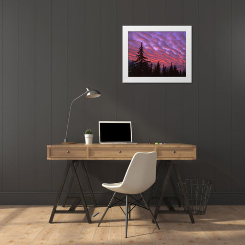 OR, Three Sisters, sunset clouds over forest White Modern Wood Framed Art Print by Terrill, Steve