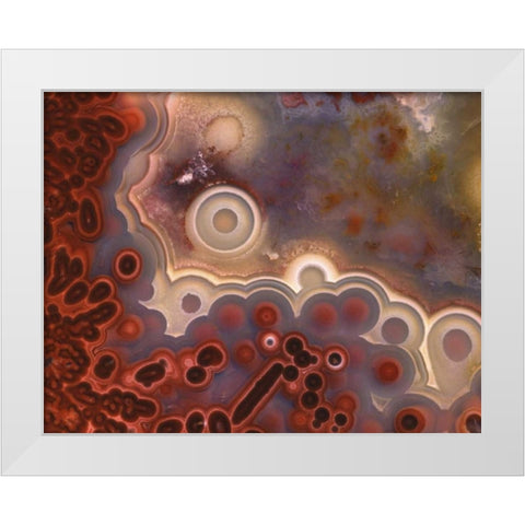 OR, Pattern in Mexican crazy lace agate White Modern Wood Framed Art Print by Terrill, Steve