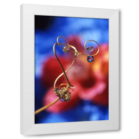 OR, Dewdrops on sweet pea tendril reflect flowers White Modern Wood Framed Art Print by Terrill, Steve