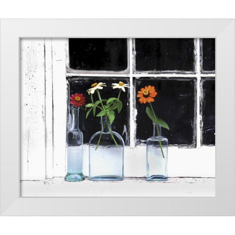 USA, Oregon, Zinnias in bottles on windowsill White Modern Wood Framed Art Print by Terrill, Steve